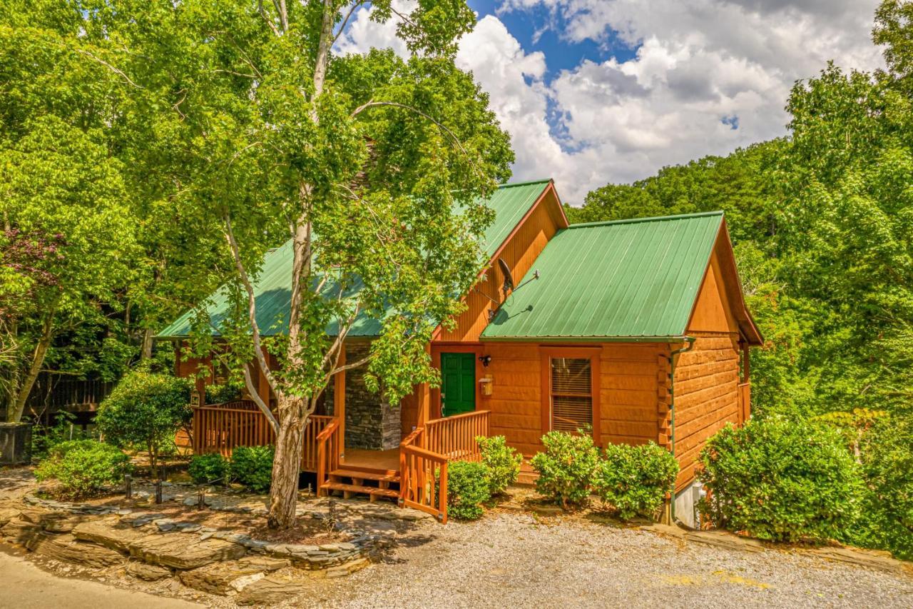 Firefly Hollow Cabin - Smoky Mountains - Soaky Mountain Water Park - Sevierville Convention Center 鸽子谷 外观 照片